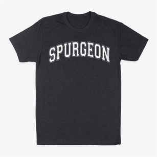 Spurgeon Intermediate School Varsity Arch Classic Dad T-Shirt
