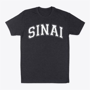 Sinai Akiba Hebrew Academy Varsity Arch Classic Dad T-Shirt