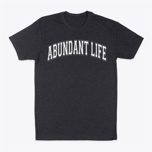 Abundant Life School Varsity Arch Classic Dad T-Shirt