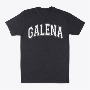 Galena Elementary School Varsity Arch Classic Dad T-Shirt