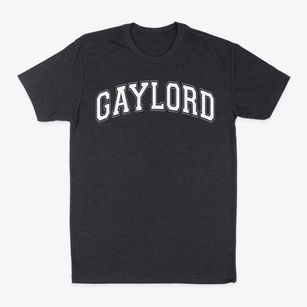 Gaylord Intermediate School Varsity Arch Classic Dad T-Shirt