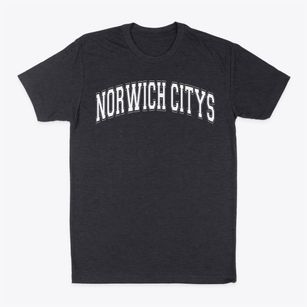Norwich City Schools Varsity Arch Classic Dad T-Shirt