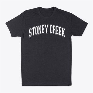 Stoney Creek Elementary School Varsity Arch Classic Dad T-Shirt