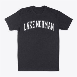Lake Norman Elementary School Varsity Arch Classic Dad T-Shirt