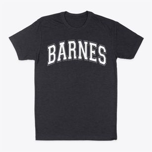 Barnes Elementary School Varsity Arch Classic Dad T-Shirt
