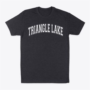 Triangle Lake Montessori School Varsity Arch Classic Dad T-Shirt