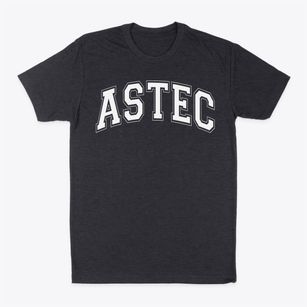 Astec Charter Middle School Varsity Arch Classic Dad T-Shirt