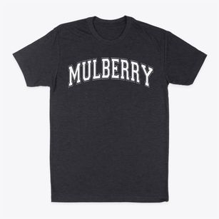 Mulberry Elementary School Varsity Arch Classic Dad T-Shirt