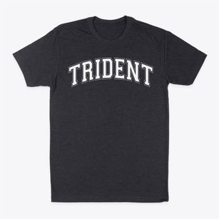 Trident Academy Varsity Arch Classic Dad T-Shirt