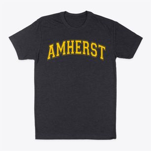 Amherst Elementary School Varsity Arch Classic Dad T-Shirt