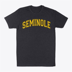 Seminole Middle School Varsity Arch Classic Dad T-Shirt