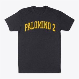 Palomino 2 School Varsity Arch Classic Dad T-Shirt