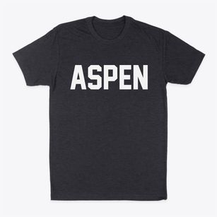 Aspen Colorado Classic Block Classic Dad T-Shirt