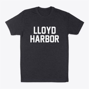 Lloyd Harbor New York Classic Block Classic Dad T-Shirt