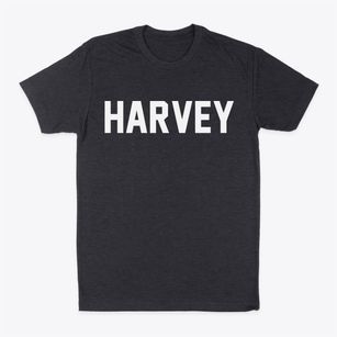 Harvey Illinois Classic Block Classic Dad T-Shirt