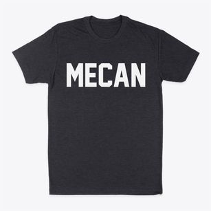 Mecan Wisconsin Classic Block Classic Dad T-Shirt