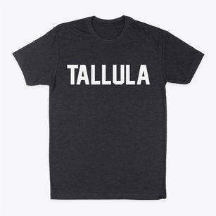 Tallula Illinois Classic Block Classic Dad T-Shirt