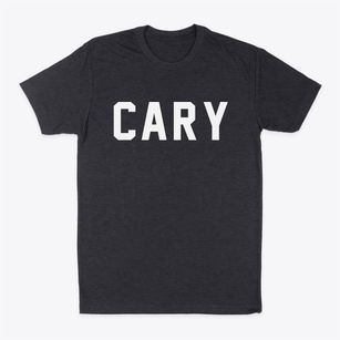 Cary Illinois Classic Block Classic Dad T-Shirt