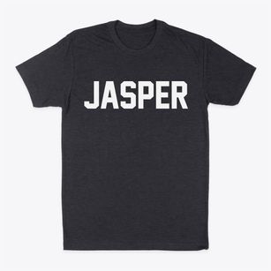 Jasper Michigan Classic Block Classic Dad T-Shirt