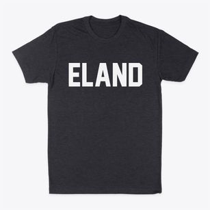 Eland Wisconsin Classic Block Classic Dad T-Shirt