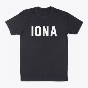 Iona Minnesota Classic Block Classic Dad T-Shirt
