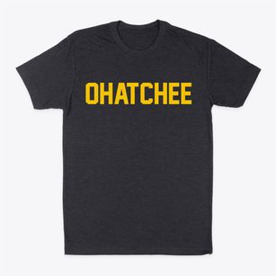 Ohatchee Alabama Classic Block Classic Dad T-Shirt