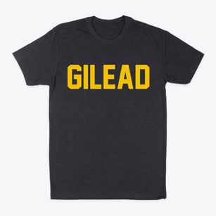 Gilead Maine Classic Block Classic Dad T-Shirt