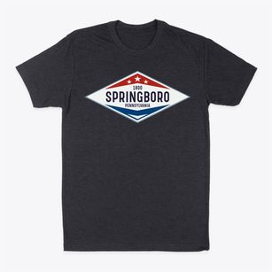 Springboro Pennsylvania Diamond Star Classic Dad T-Shirt