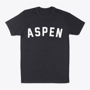Aspen Colorado Classic Curve Classic Dad T-Shirt