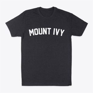 Mount Ivy New York Classic Curve Classic Dad T-Shirt