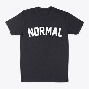 Normal Illinois Classic Curve Classic Dad T-Shirt