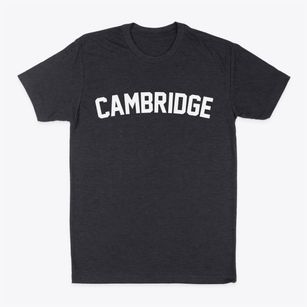 Cambridge Vermont Classic Curve Classic Dad T-Shirt
