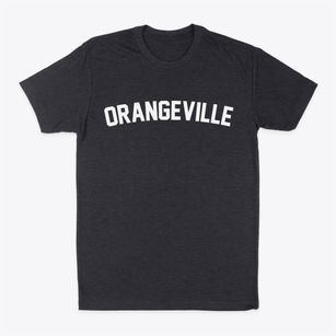 Orangeville New York Classic Curve Classic Dad T-Shirt