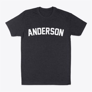 Anderson South Carolina Classic Curve Classic Dad T-Shirt