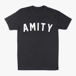Amity Arkansas Classic Curve Classic Dad T-Shirt