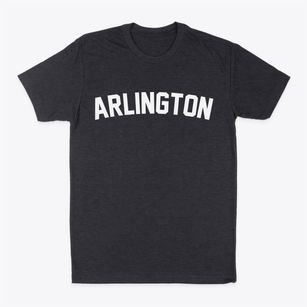 Arlington Washington Classic Curve Classic Dad T-Shirt