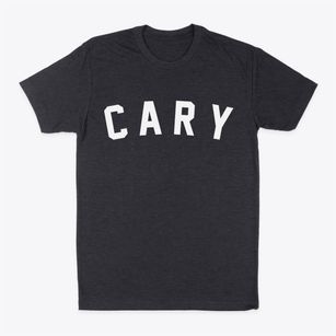 Cary Illinois Classic Curve Classic Dad T-Shirt