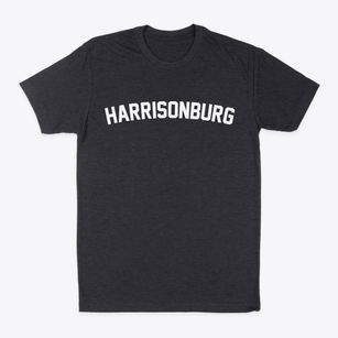 Harrisonburg Louisiana Classic Curve Classic Dad T-Shirt