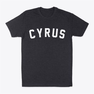 Cyrus Minnesota Classic Curve Classic Dad T-Shirt