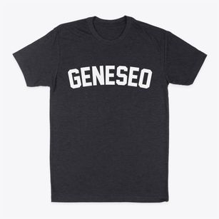 Geneseo Kansas Classic Curve Classic Dad T-Shirt