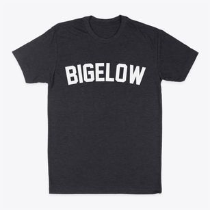 Bigelow Minnesota Classic Curve Classic Dad T-Shirt