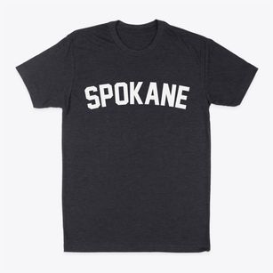 Spokane Missouri Classic Curve Classic Dad T-Shirt