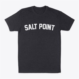Salt Point New York Classic Curve Classic Dad T-Shirt