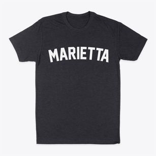 Marietta Illinois Classic Curve Classic Dad T-Shirt