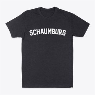 Schaumburg Illinois Classic Curve Classic Dad T-Shirt