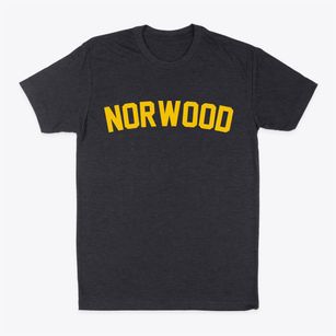 Norwood New Jersey Classic Curve Classic Dad T-Shirt