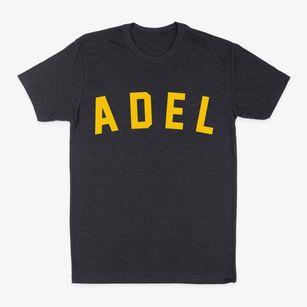 Adel Iowa Classic Curve Classic Dad T-Shirt