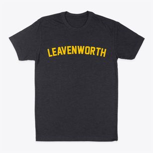 Leavenworth Kansas Classic Curve Classic Dad T-Shirt