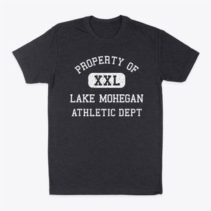 Lake Mohegan New York Athletic Dept Classic Dad T-Shirt