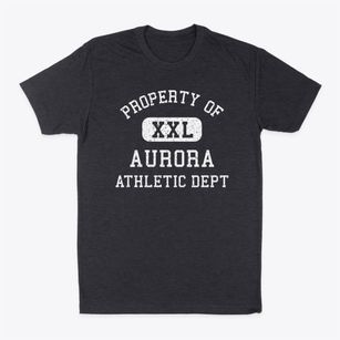Aurora Illinois Athletic Dept Classic Dad T-Shirt